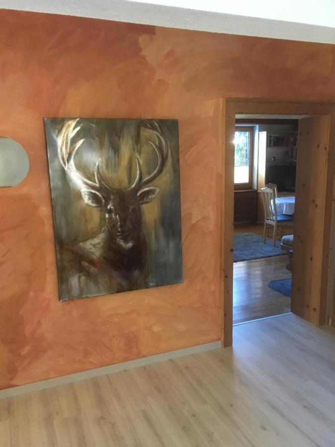 Ferienhaus Wieswald ايروالد المظهر الخارجي الصورة