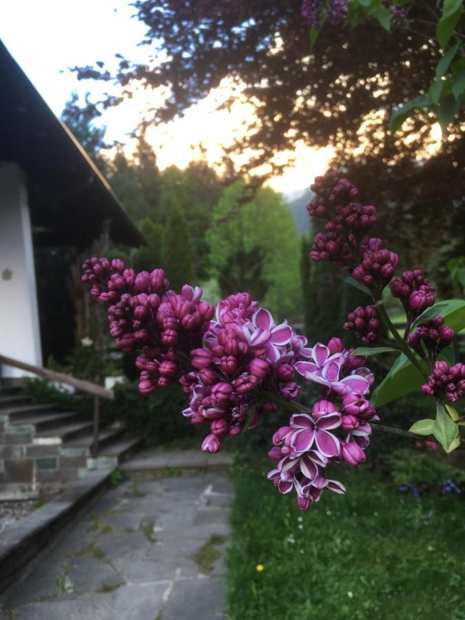 Ferienhaus Wieswald ايروالد المظهر الخارجي الصورة