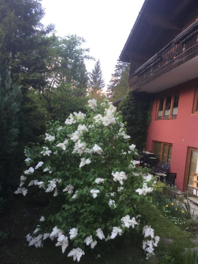 Ferienhaus Wieswald ايروالد المظهر الخارجي الصورة